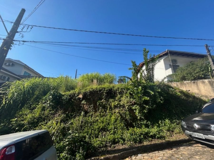 foto1