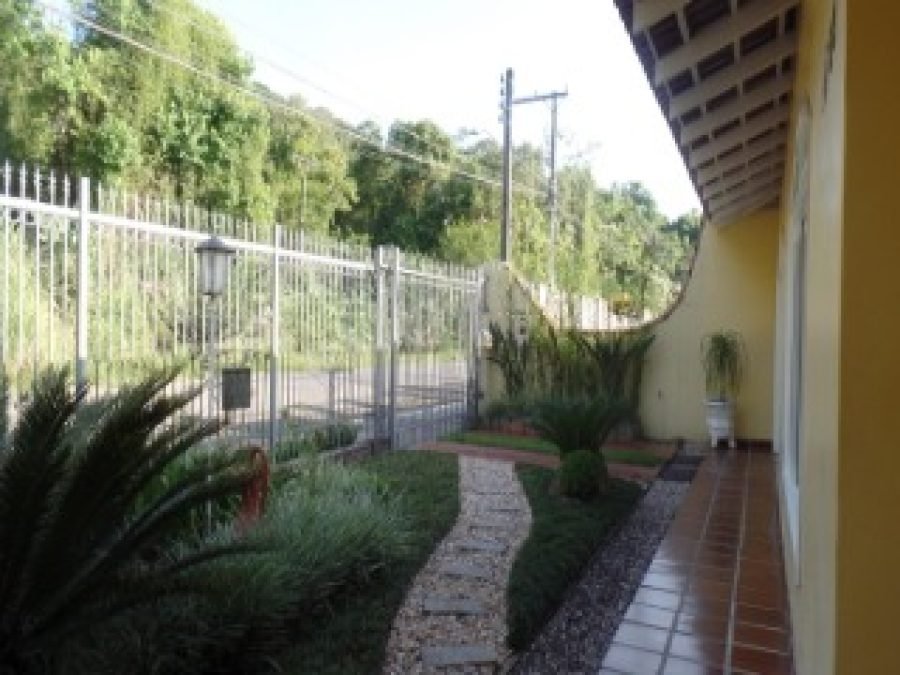 foto1