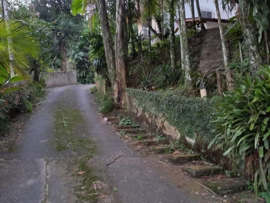 foto1