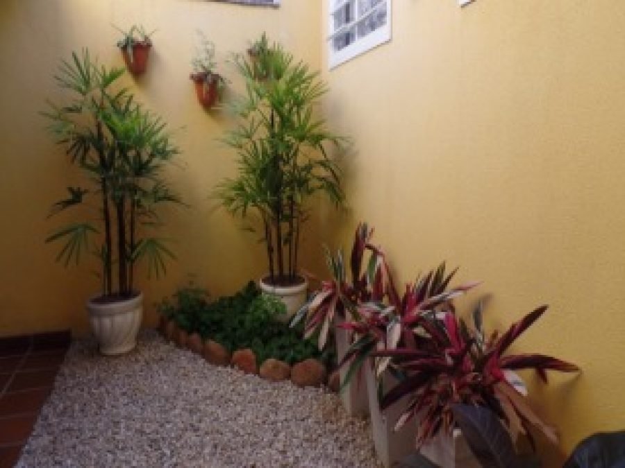 foto11