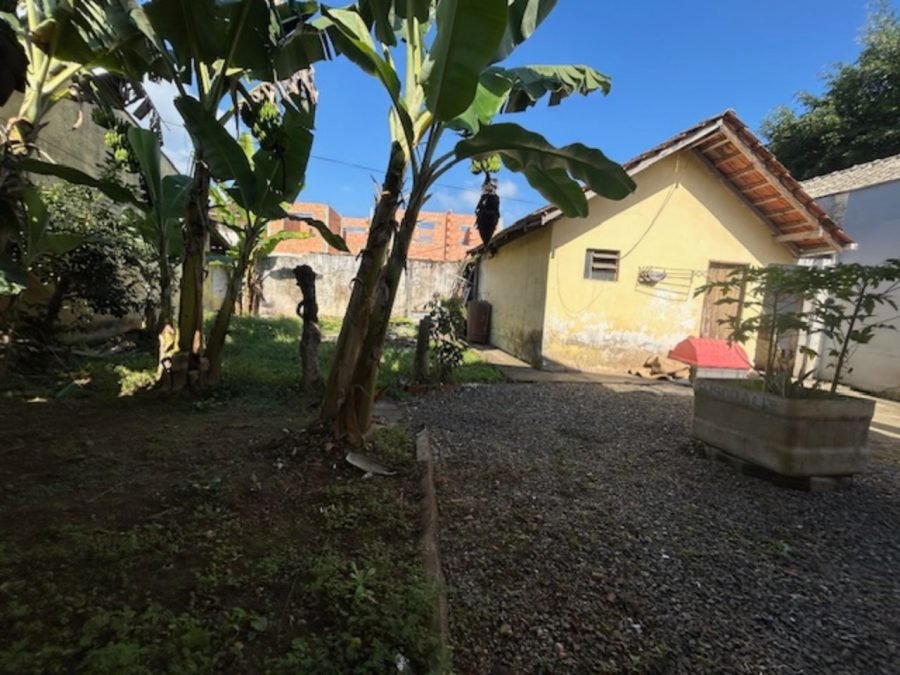 foto14
