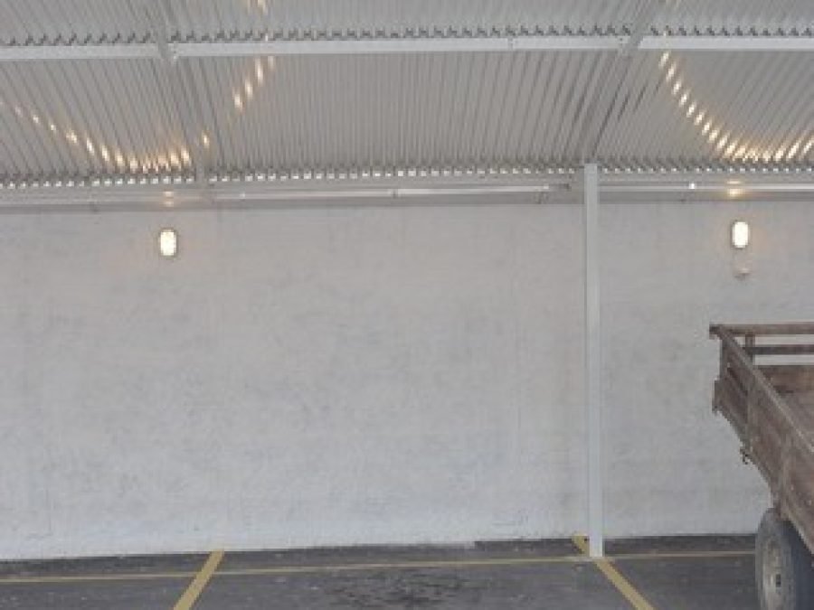 foto5