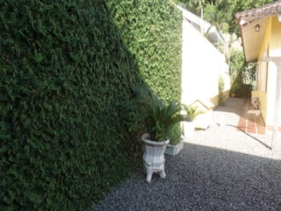foto6